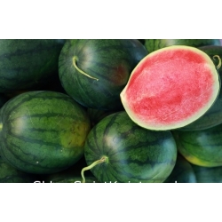 nasiona owoców Arbuz, kawon - mix odmian